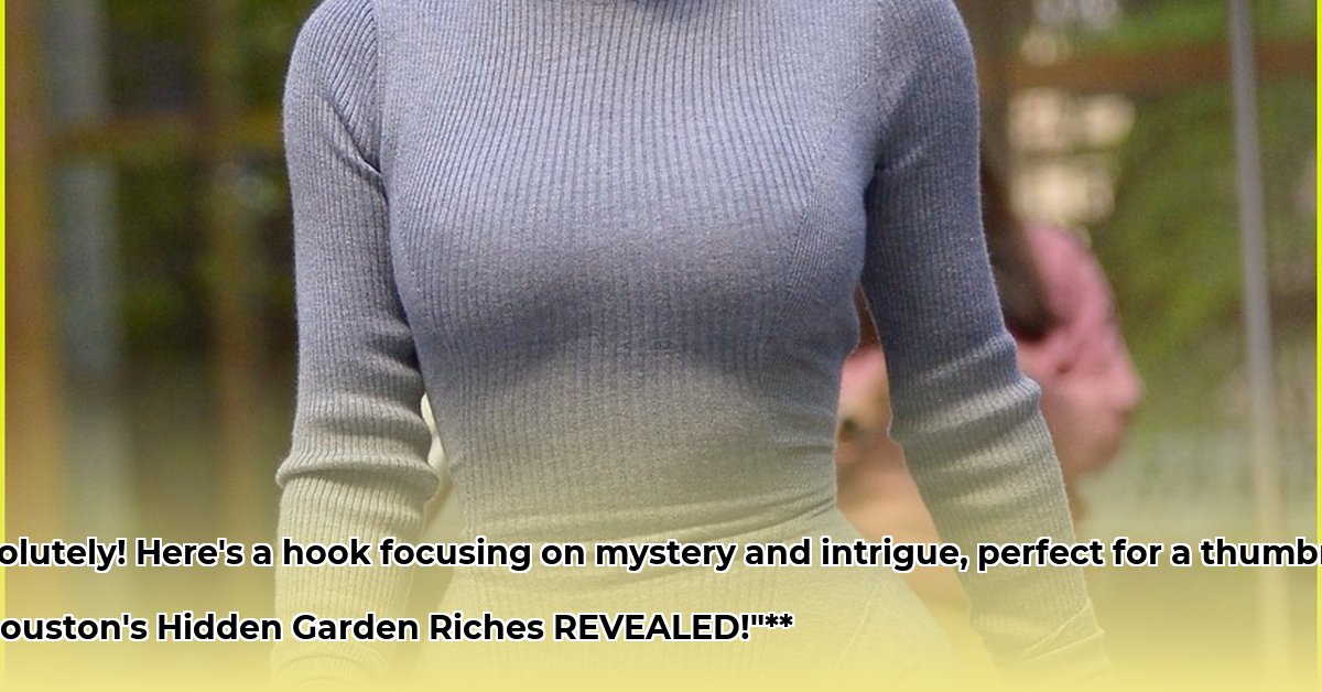 kim-hooper-houston-net-worth